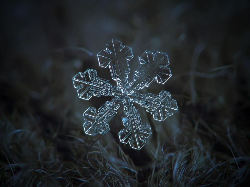 آموزش نقاشی سیاه قلم